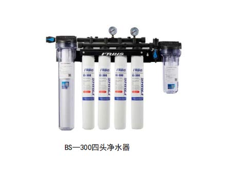 BS—300四头净水器