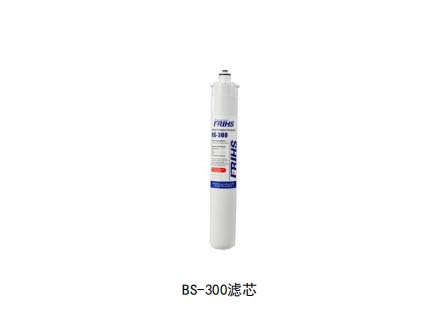 BS-300滤芯